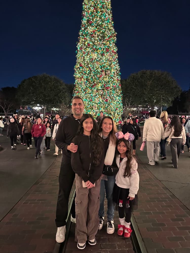 Holiday lights